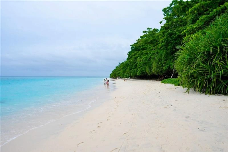 andaman packages for honeymoon