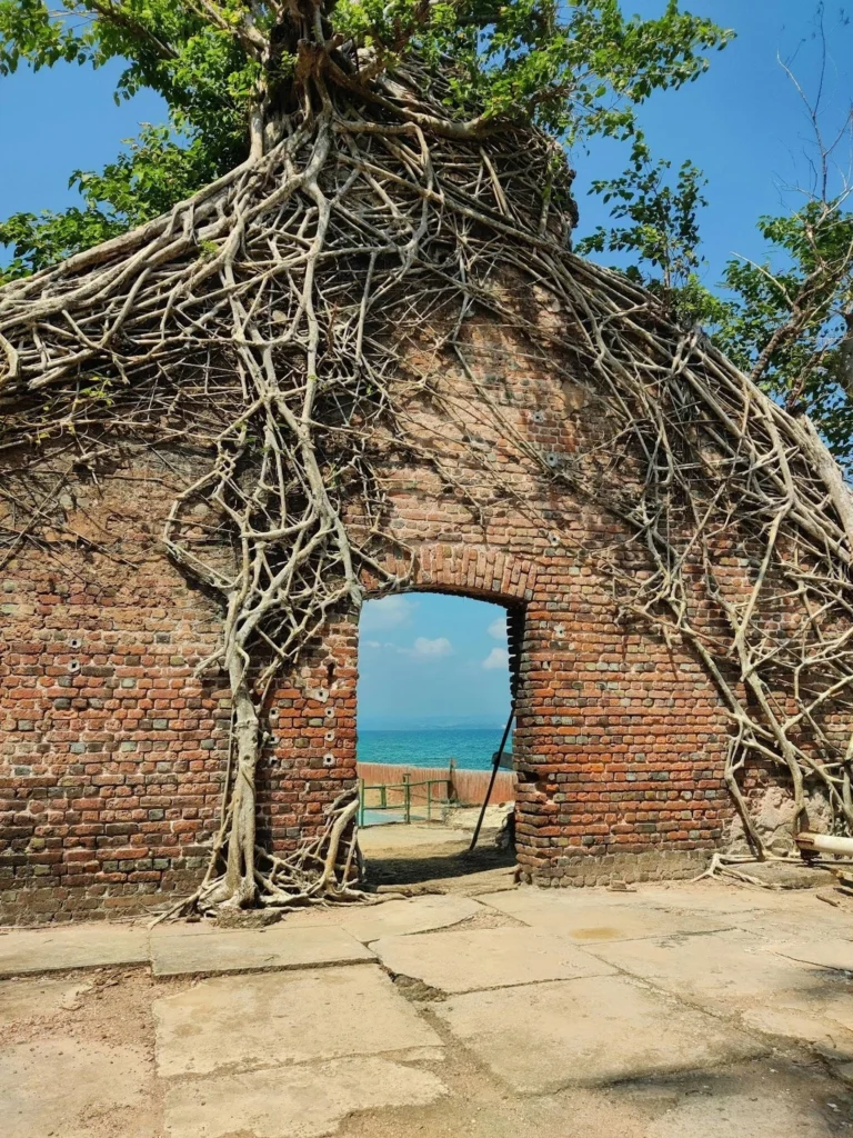 couple packages for andaman nicobar