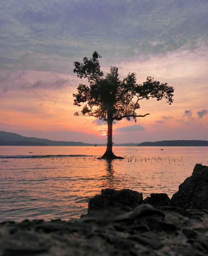 best tour operator for andaman