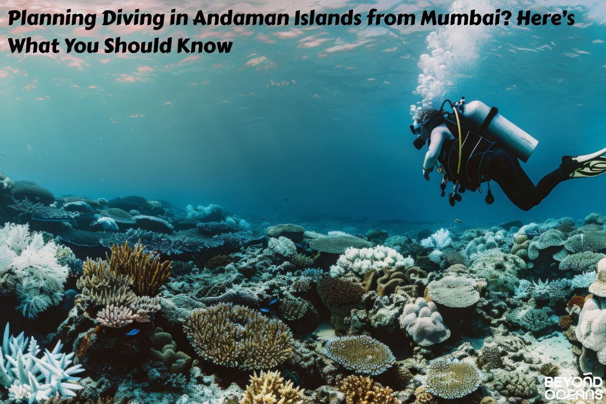 Planning Diving in Andaman Islands from Mumbai? Here’s What You Should Know