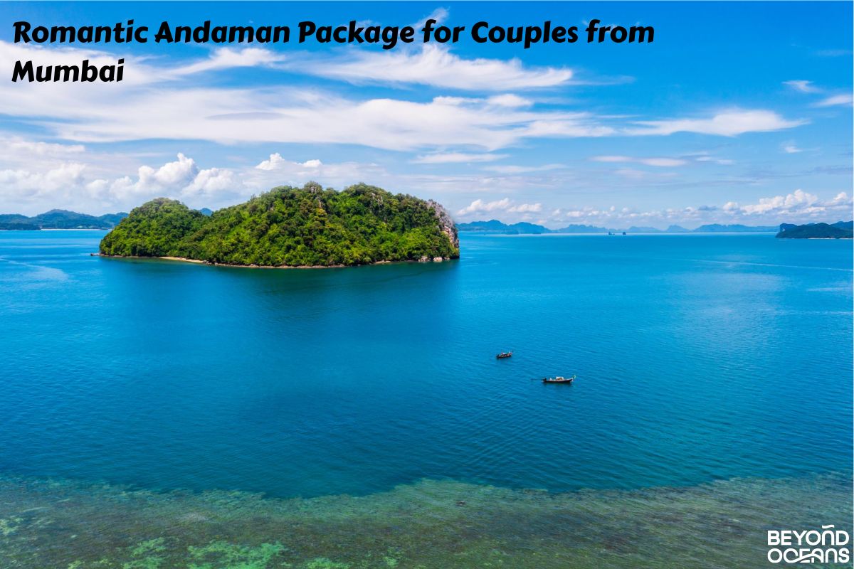 Why Diving in Andaman Islands Feels Like a Luxury Experience Without the Luxury Price